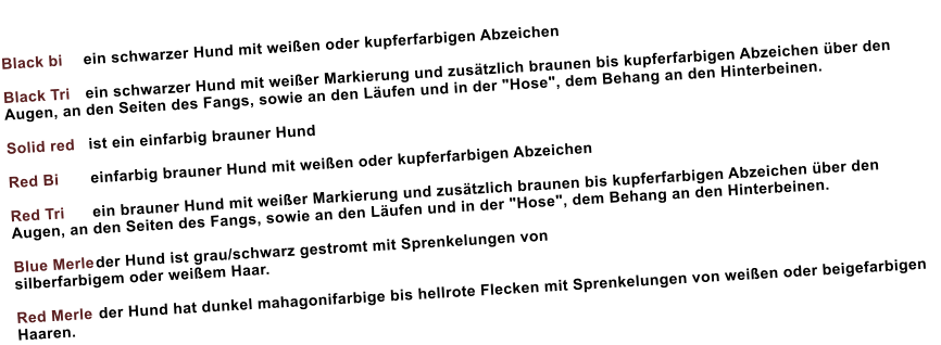 Black bi	ein schwarzer Hund mit weien oder kupferfarbigen Abzeichen  Black Tri	ein schwarzer Hund mit weier Markierung und zustzlich braunen bis kupferfarbigen Abzeichen ber den    Augen, an den Seiten des Fangs, sowie an den Lufen und in der "Hose", dem Behang an den Hinterbeinen.	  Solid red	ist ein einfarbig brauner Hund	  Red Bi	einfarbig brauner Hund mit weien oder kupferfarbigen Abzeichen	  Red Tri	ein brauner Hund mit weier Markierung und zustzlich braunen bis kupferfarbigen Abzeichen ber den Augen, an den Seiten des Fangs, sowie an den Lufen und in der "Hose", dem Behang an den Hinterbeinen.	  Blue Merle	der Hund ist grau/schwarz gestromt mit Sprenkelungen von silberfarbigem oder weiem Haar.	  Red Merle	der Hund hat dunkel mahagonifarbige bis hellrote Flecken mit Sprenkelungen von weien oder beigefarbigen Haaren.